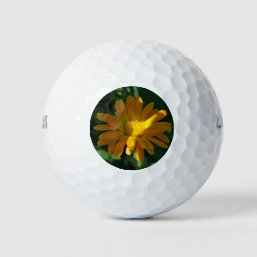 Balles De Golf Orange Pot Marigold Flower (Calendula officinalis) (Devant)