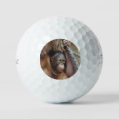 Balles De Golf OrangUtan 002 (Recto)
