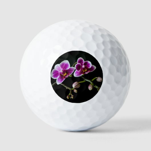 Balles De Golf Orchidée rose blanc couleur sur noir pâle doux (Recto)