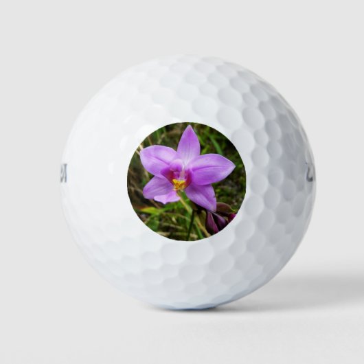Balles De Golf Orchidée sauvage violette Fleur tropicale (Devant)