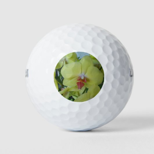 Balles De Golf Orchidées jaunes (Devant)