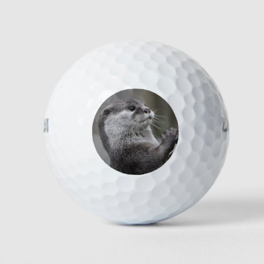 Balles De Golf Otter Mastermind (Devant)