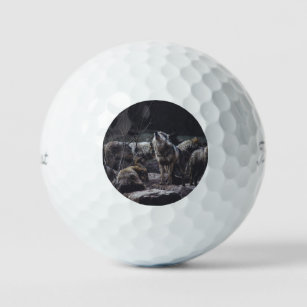 Balles De Golf Pack Wolf