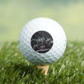 Balles De Golf Pack Wolf (T-shirt Insitu)