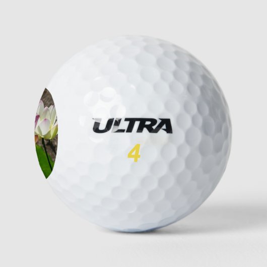 Balles De Golf Pair de Lotus (Logo)