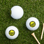 Balles De Golf Paire de dauphins dans le soleil (Herbe in situ)