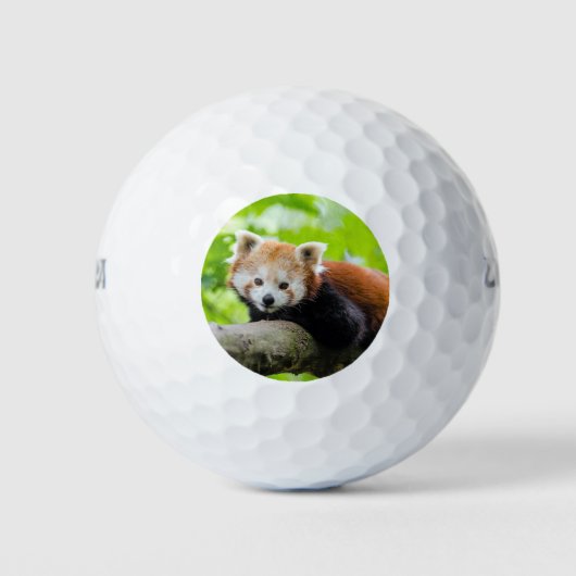 Balles De Golf Panda rouge (Devant)
