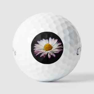 Balles De Golf Pâquerette commune css gbm