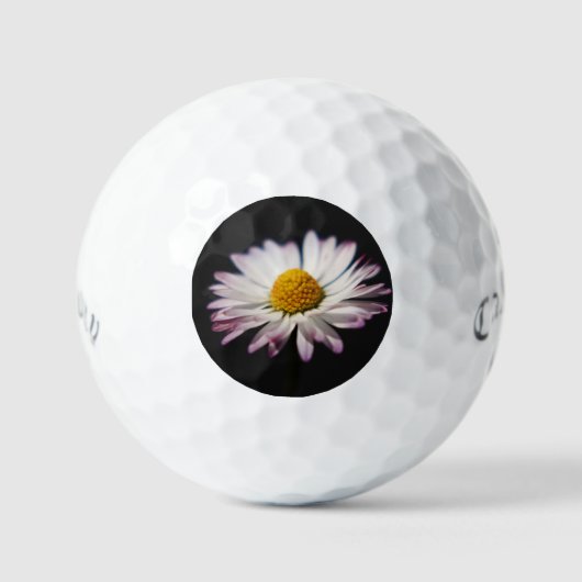 Balles De Golf Pâquerette commune css gbm (Recto)