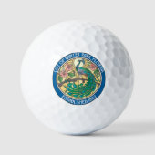 BALLES DE GOLF PARK D'HIVER FLORIDE (Recto)