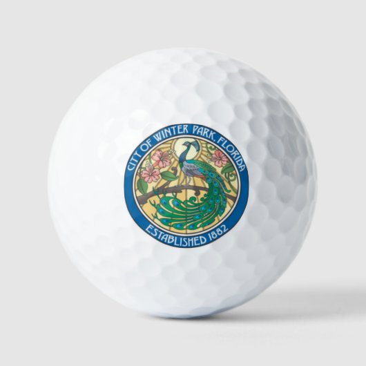 BALLES DE GOLF PARK D'HIVER FLORIDE (Recto)