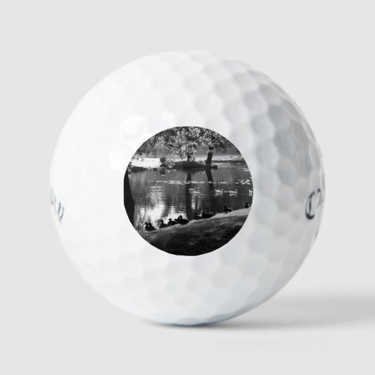 Balles De Golf Park Life css gbcna (Recto)