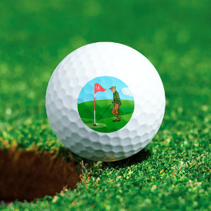 Balles De Golf Passez en revue par Male Golfer sur le 18e trou