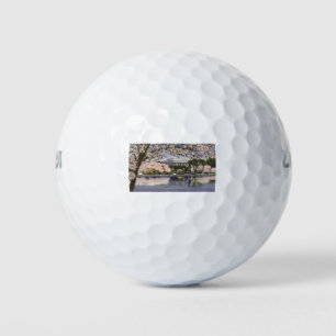 Balles De Golf PAU44 Lincoln Memorial.tif
