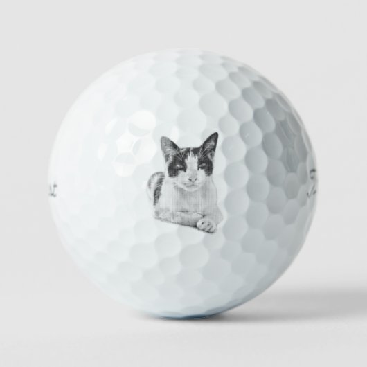 Balles De Golf Paw Demi-teinte (Recto)