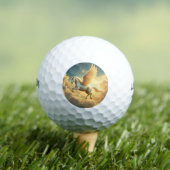 Balles De Golf Pegasus (T-shirt Insitu)