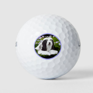 Balles De Golf Peinture à collie à poils - Joli art original de c