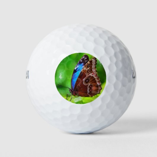 Balles De Golf Peinture à papillon (Devant)