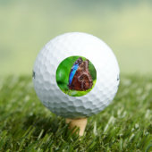 Balles De Golf Peinture à papillon (T-shirt Insitu)