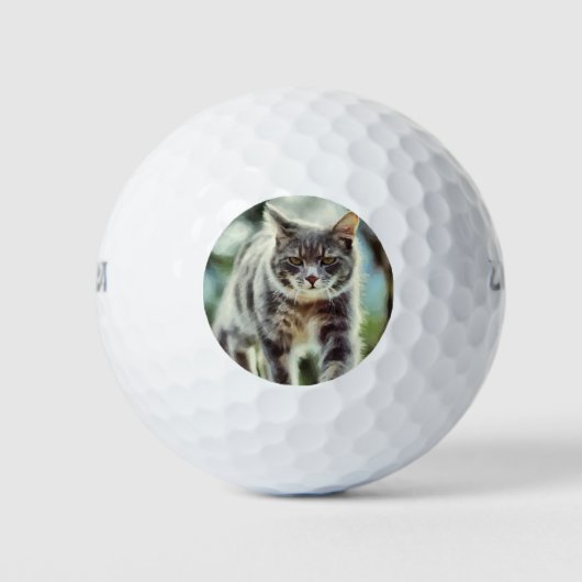 Balles De Golf Peinture de chat (Devant)