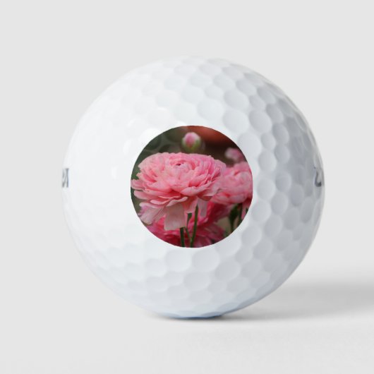 Balles De Golf Peony Rose Ranunculus Closeup (Devant)