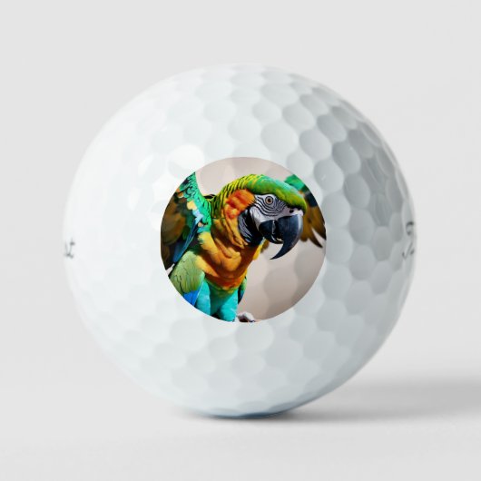 Balles De Golf Perroquet (Recto)