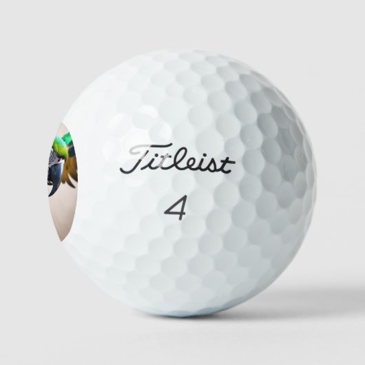Balles De Golf Perroquet (Logo)