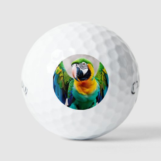 Balles De Golf Perroquet coloré (Recto)