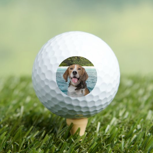 Balles De Golf Personnalisé Chien Photo Chien de Compagnie Modern (T-shirt Insitu)