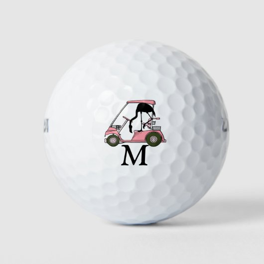 Balles De Golf Personnalisé Monogramme Funny Flamant rose Golf Ca (Devant)