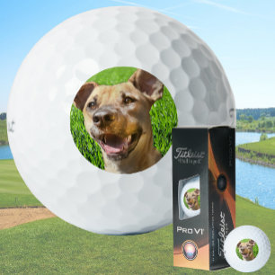 Balles de golf personnalisées avec photo de chien