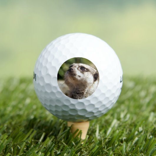 BALLES DE GOLF PETIT MEERKAT (T-shirt Insitu)