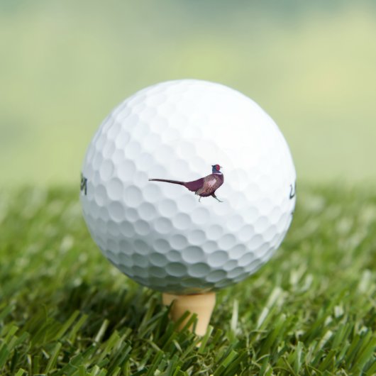 Balles De Golf phéasant (T-shirt Insitu)