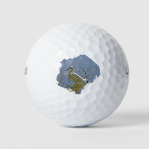 Balles De Golf Photo Aiguille Blanche Elégant Oiseau Calme Eau Na