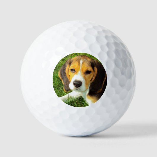 Balles De Golf Photo de chien Beagle pour animal de compagnie per (Recto)