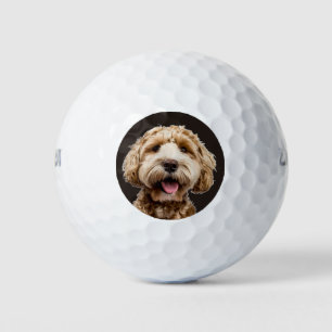 Balles De Golf Photo personnalisée pour chien de compagnie