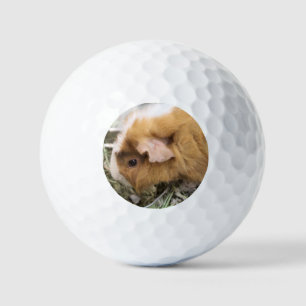 Balles De Golf Piggy