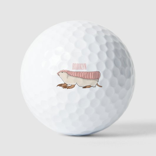 Balles De Golf Pink fairy armadillo (Recto)
