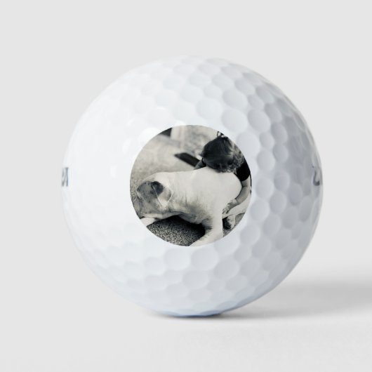 Balles De Golf Pitbull chiot endormi et câlins de bébé (Devant)