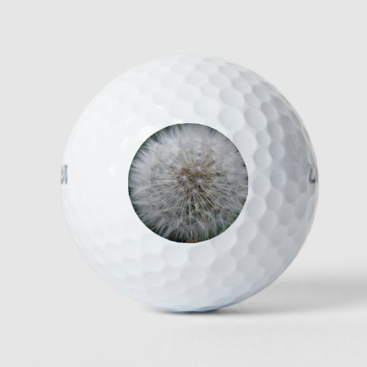 Balles De Golf Plante Dandelion Flower Golf Ball (Devant)