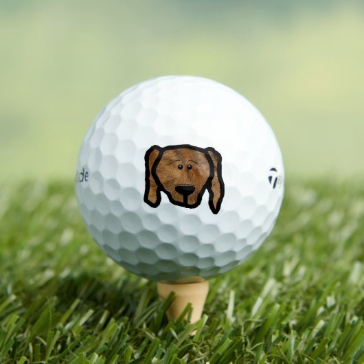 Balles De Golf plothead two sided (T-shirt Insitu)