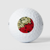 Balles De Golf Poinsettias blanches et rouges I Holiday Floral (Devant)