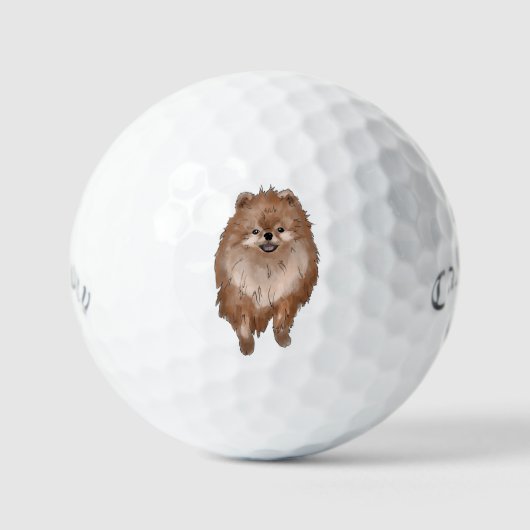 Balles De Golf Pomeranian Dog (Recto)
