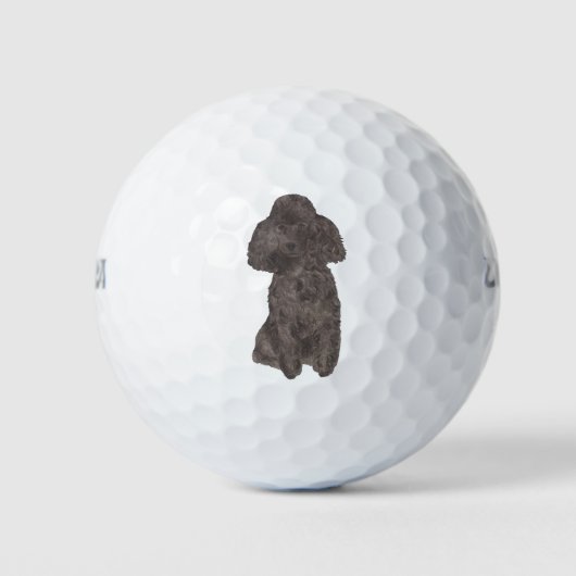 Balles De Golf Poodle noir (Devant)