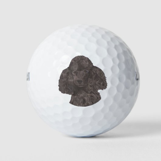 Balles De Golf Poodle noir (Devant)