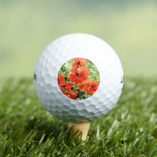 Balles De Golf Poppies (T-shirt Insitu)