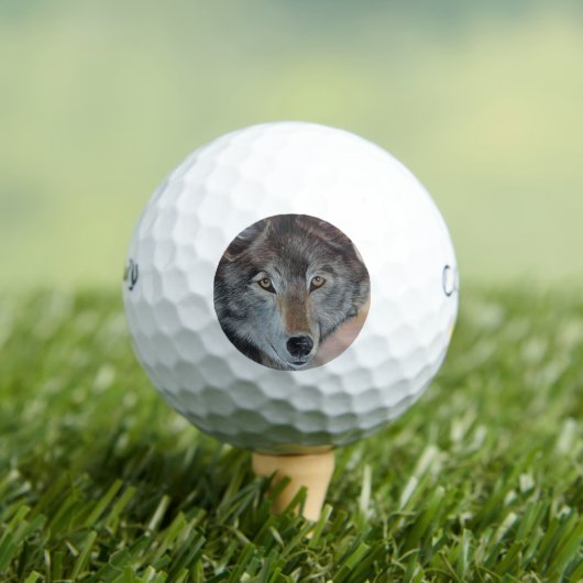 Balles De Golf portrait de la faune peinture de loup gris (T-shirt Insitu)
