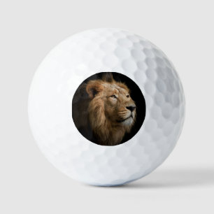 Balles De Golf Portrait de lion puissant avec Arrière - plan fonc