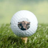 Balles De Golf Portrait de vache Highland (T-shirt Insitu)