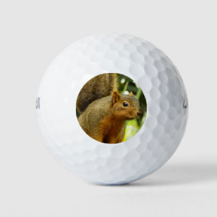 Balles De Golf Portrait d'un Écureuil Photographie de la Nature e